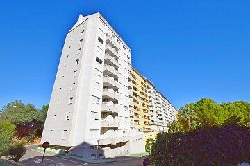 Apartamento de 1 dormitorio para alquiler de larga temporada en Dehesa de Campoamor * in Ole International