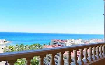 Sea views apartments in Playa de los Locos in Torrevieja in Ole International