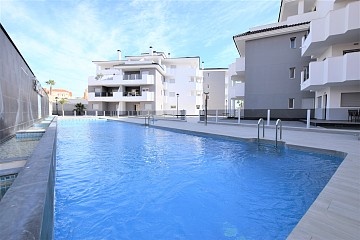 Apartamento de 2 dormitorios en Planta Baja con terraza en Villamartin * in Ole International