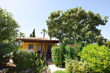 Hus på landet i San Miguel med 3 000 m2 trädgård in Ole International
