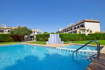 2 beds ground floor apartment with garden overlooking the swimming pool  in Ole International