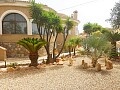 3 beds detached villa on a 800 sq.m. plot in El Chaparral, nr. Torrevieja  in Ole International