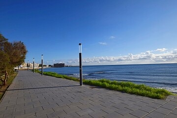 Amplio apartamento de 3 dormitorios con vistas frontales al mar en Torrevieja  in Ole International