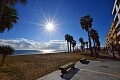 Luxuriöse Penthäuser mit 3 Schlafzimmern und privatem Solarium in der Nähe des Strandes von La Mata in Ole International