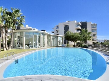 Apartment with 2 bedrooms in Villamartin * in Ole International