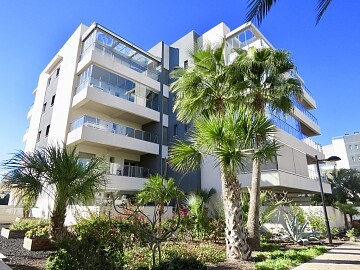 Apartment with 2 bedrooms in Villamartin * in Ole International