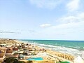 2 beds seafront apartment by the sandy beach in La Mata  in Ole International