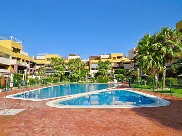Appartement met 2 slaapkamers vlakbij de zee in Playa Flamenca in Ole International