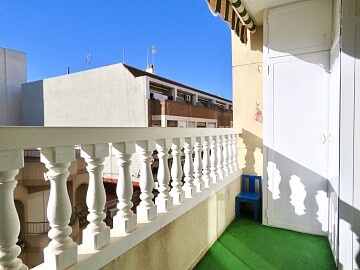 Apartment with 3 bedrooms in Torrevieja for long term rental * in Ole International
