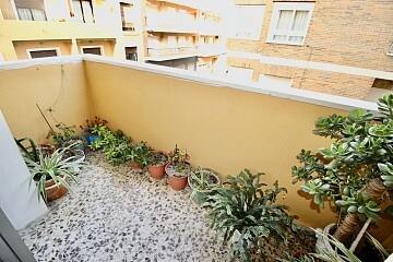 3 bedroom apartment in Torrevieja in Ole International