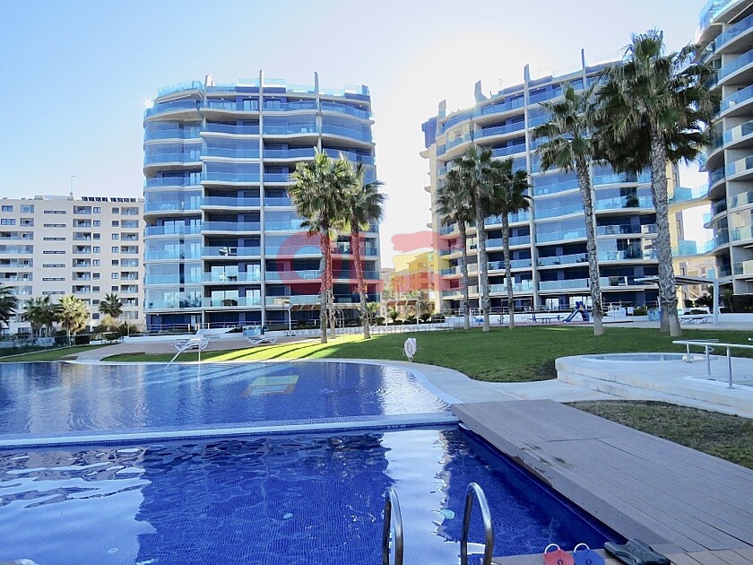 2 beds seafront apartment in Punta Prima in Ole International