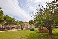 3 roms leilighet nær stranden i Torrevieja in Ole International