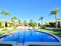 Ground floor townhouse with 2 bedrooms in Mil Palmeras in Ole International