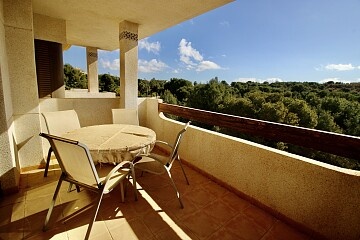 3 bed apartment in Las Ramblas Golf  in Ole International