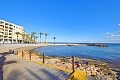 Old house with garden in town center of Torrevieja  in Ole International