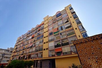 Lägenhet med 1 sovrum 200 meter från Playa de los Locos in Ole International