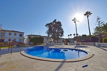 1 bed ground floor apartment near Villamartín  in Ole International