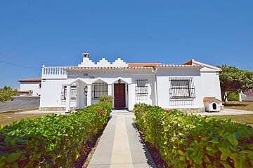 3 bedroom detached villa near Torrevieja  in Ole International