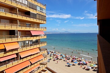 Appartement avec 1 chambre face à la plage à Arenales del Sol in Ole International