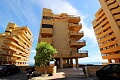 1 bedroom apartment by the beach in Arenales del Sol  in Ole International