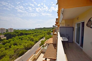 Ruim penthouse met 2 slaapkamers en uitzicht op zee in Dehesa de Campoamor in Ole International