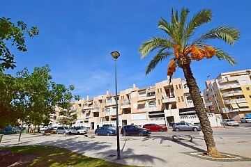 Tilava 1 makuuhuoneen huoneisto Torreviejan keskustassa in Ole International
