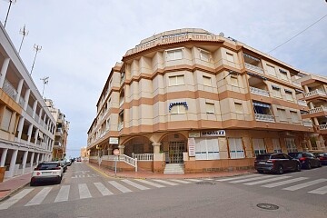 2 beds apartment near the beach in La Mata  * in Ole International