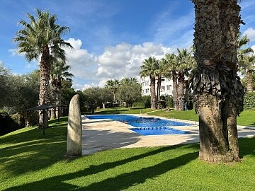 Appartamento ristrutturato con 1 camera da letto in Plaza Villamartin * in Ole International