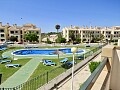 2 bedroom key ready apartments in Campoamor Golf  in Ole International