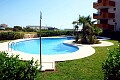 2 bedrooms apartment near the beach in Punta Prima  in Ole International