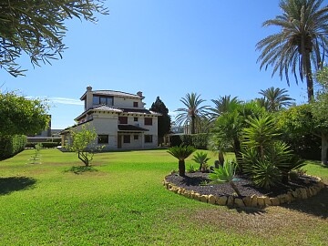 Luxusvilla am Meer in Cabo Roig in Ole International