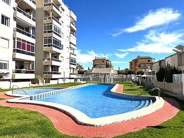 Gelijkvloers appartement met 3 slaapkamers, tuin en privéparkeerplaats in Torreblanca (La Mata) * in Ole International