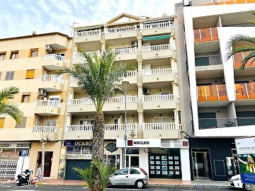 3 makuuhuoneen kattohuoneisto solariumilla Torreviejassa lähellä Playa Los Locosia in Ole International