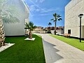 Moderne 2-Zimmer-Wohnung zwischen Villamartín und Campoamor Golf in Ole International