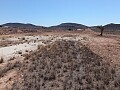 Bouwkavel van 6900 m2 in Jumilla in Ole International