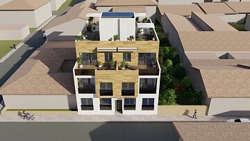 1 bedroom apartments in El Pilar de la Horadada  in Ole International