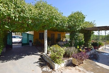 Maison de campagne à rénover avec grand terrain à Albatera  in Ole International