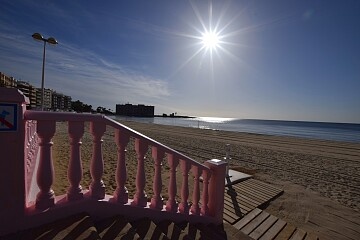 4 makuuhuoneen huoneisto Playa de los Locosin vieressä  in Ole International