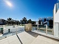 Fristående villa med 3 sovrum med trädgård och pool i Guardamar del Segura * in Ole International