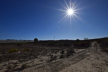 Suuri rakennustontti 12 000 m2 lähellä San Miguel de Salinasia   in Ole International