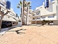 Appartamento con 2 camere da letto a Playa Flamenca in Ole International