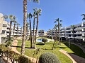 Appartamento con 2 camere da letto a Playa Flamenca in Ole International