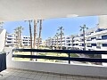 Appartamento con 2 camere da letto a Playa Flamenca in Ole International