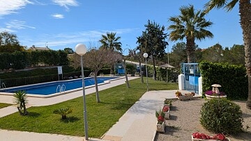 Studio avec piscine commune à Torreblanca in Ole International