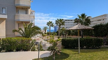 Studio ze wspólnym basenem w Torreblanca in Ole International