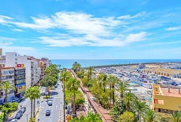 Tomt i första raden i Paseo de Torrevieja in Ole International