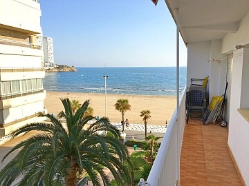 Appartement met 3 slaapkamers aan het Levante-strand in Benidorm in Ole International