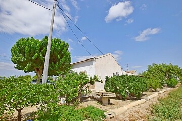 Traditional country house in Molins  in Ole International