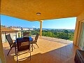 3 beds penthouse with panoramic sea views in Playa Flamenca  in Ole International
