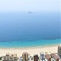 Luxury apartments on the seafront in Benidorm in Ole International